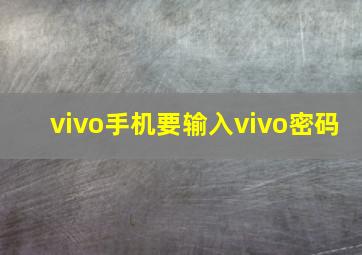 vivo手机要输入vivo密码