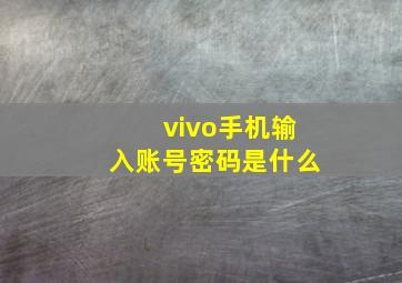 vivo手机输入账号密码是什么