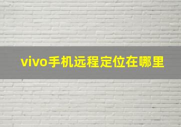 vivo手机远程定位在哪里