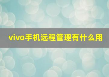 vivo手机远程管理有什么用