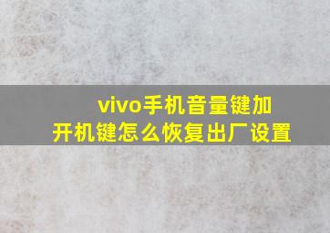 vivo手机音量键加开机键怎么恢复出厂设置