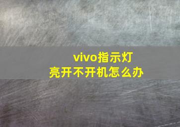 vivo指示灯亮开不开机怎么办