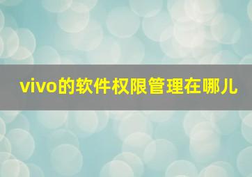 vivo的软件权限管理在哪儿