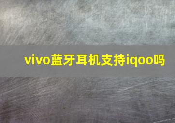 vivo蓝牙耳机支持iqoo吗