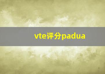 vte评分padua