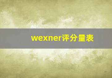 wexner评分量表