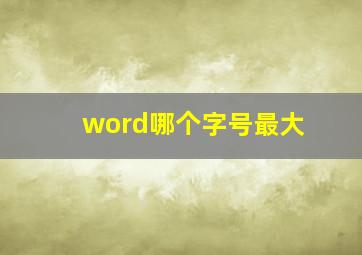 word哪个字号最大