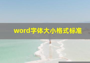 word字体大小格式标准