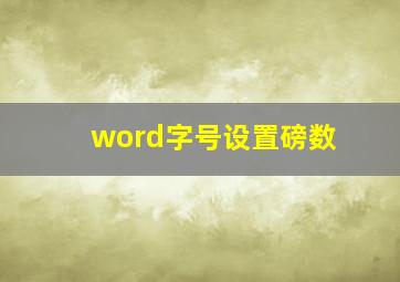 word字号设置磅数