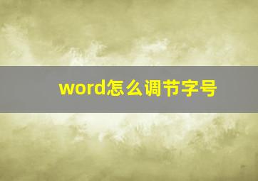 word怎么调节字号