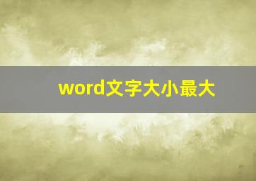 word文字大小最大