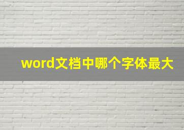 word文档中哪个字体最大