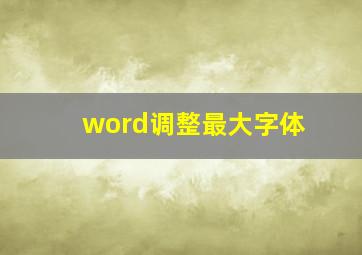 word调整最大字体