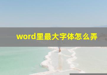 word里最大字体怎么弄