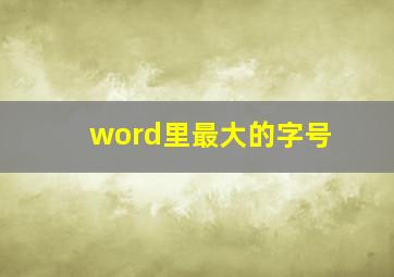 word里最大的字号