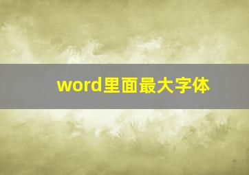 word里面最大字体