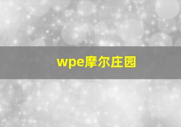 wpe摩尔庄园