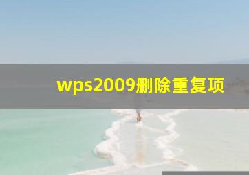 wps2009删除重复项