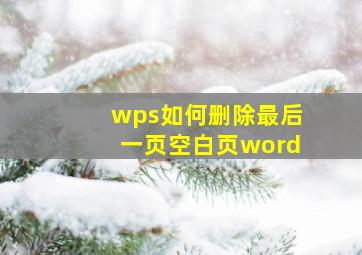 wps如何删除最后一页空白页word