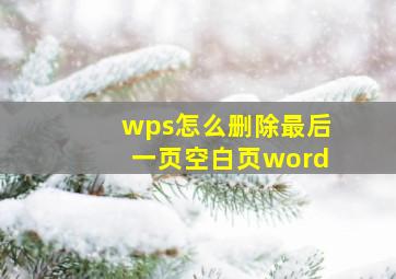 wps怎么删除最后一页空白页word