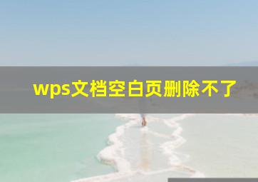 wps文档空白页删除不了