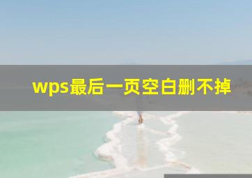 wps最后一页空白删不掉