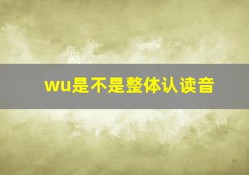 wu是不是整体认读音