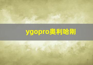 ygopro奥利哈刚