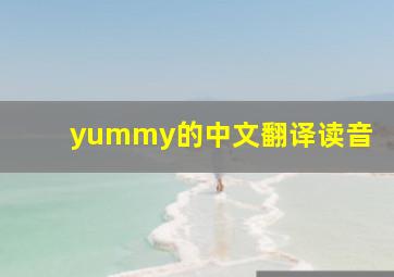 yummy的中文翻译读音