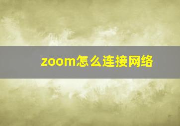 zoom怎么连接网络