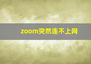 zoom突然连不上网