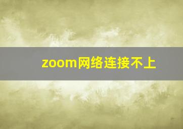 zoom网络连接不上