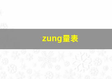 zung量表