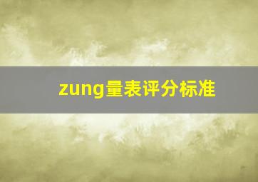 zung量表评分标准