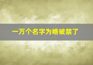 一万个名字为啥被禁了