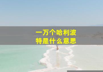 一万个哈利波特是什么意思