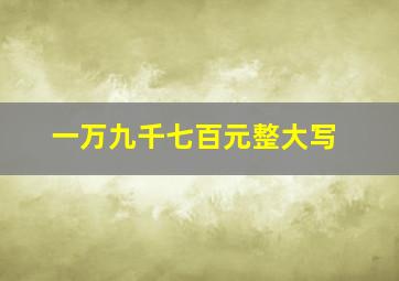 一万九千七百元整大写