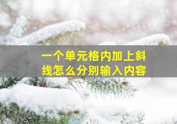 一个单元格内加上斜线怎么分别输入内容