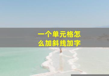 一个单元格怎么加斜线加字