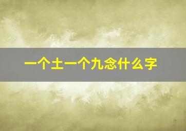 一个土一个九念什么字