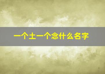 一个土一个念什么名字