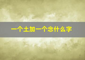 一个土加一个念什么字