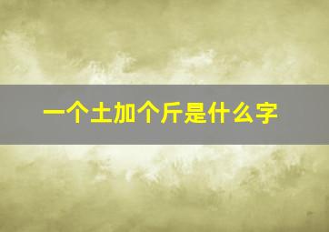 一个土加个斤是什么字