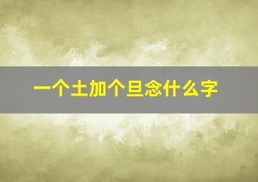 一个土加个旦念什么字