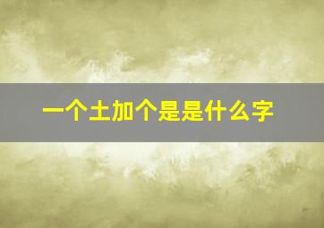 一个土加个是是什么字