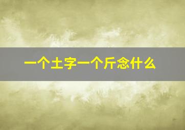 一个土字一个斤念什么