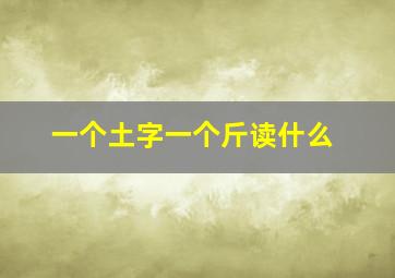 一个土字一个斤读什么