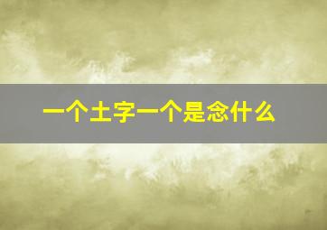 一个土字一个是念什么