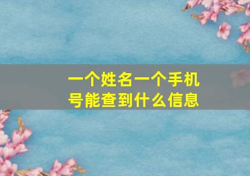 一个姓名一个手机号能查到什么信息