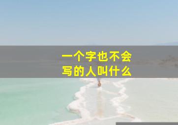 一个字也不会写的人叫什么